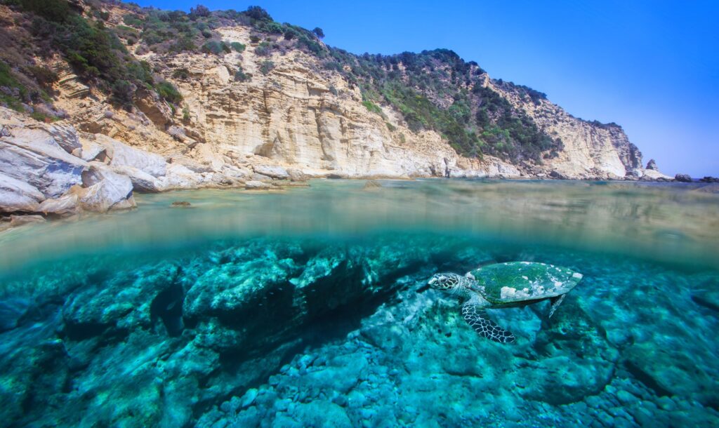 ionian_sea_cruises_boat_tours_zakynthos